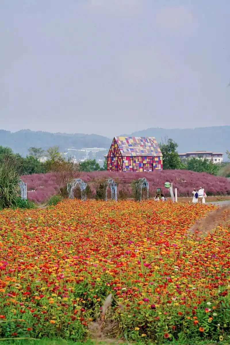 Wei Ran Flower Sea