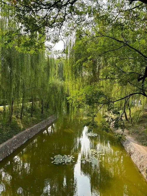 Xinxiang Park