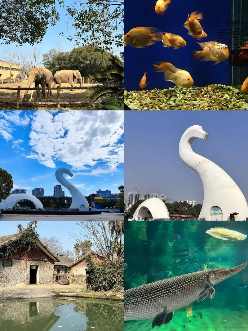 Animal Park