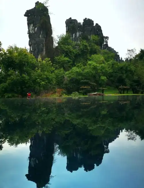 Qi Xi Park