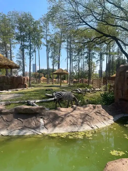 Wuhan Zoo