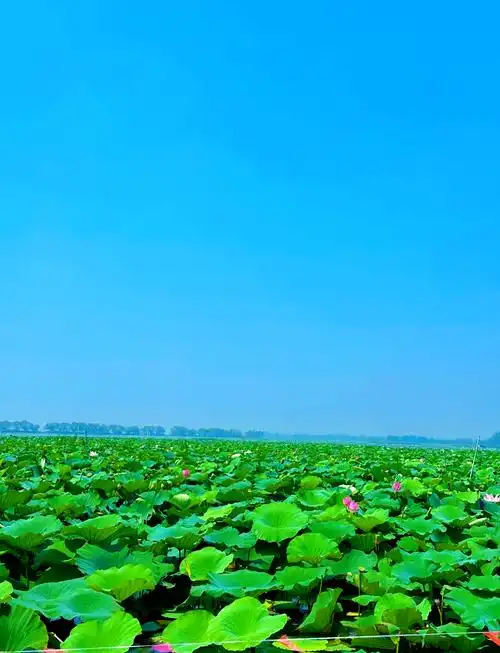 Wushan Lake