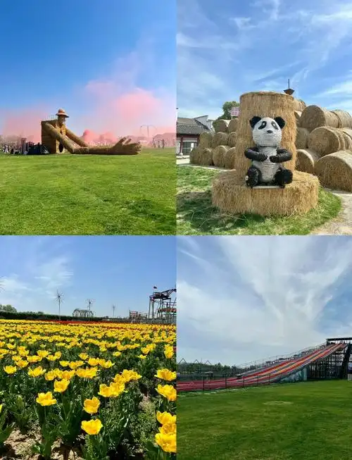 Huanghe Dao
