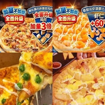 Damo Pizza (Liu Dao Kou Branch)