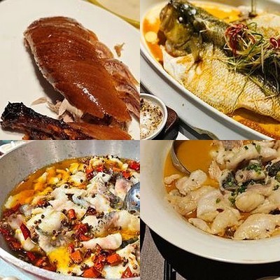 Da Ya Pi Roast Duck (North Qiqia)