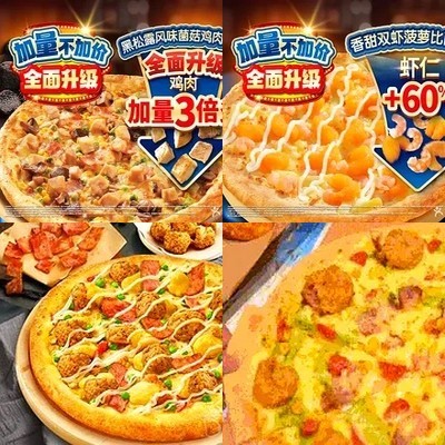 Darmal Pizza (Xuanwu Men Wai Da Jie Store)