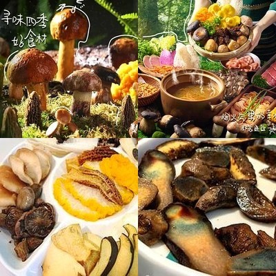 Tamba Wild Mushrooms Yunnan Healthy Hot Pot (Xuanwu Store)
