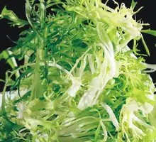 Eruca Salad