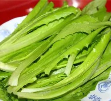 Oilseed lettuce