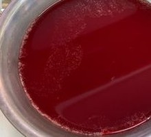Fresh Duck Blood