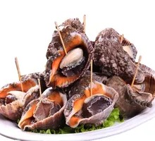 Saltwater Conch