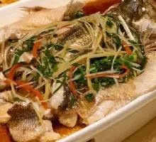 Sea Bass