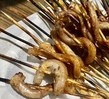 Sheep penis