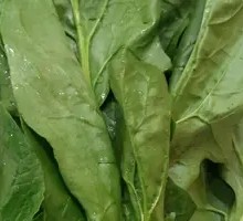 Spinach