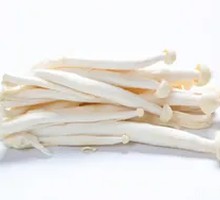 Seafood Mushroom
