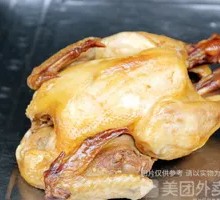Young Chicken