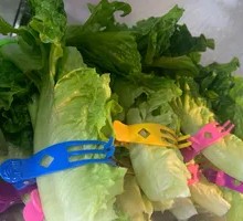 Romaine Lettuce