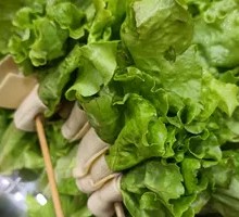 Romaine Lettuce