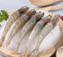 Fresh Shrimp