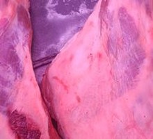Lamb