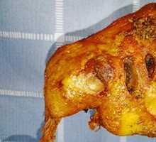 Duck Leg