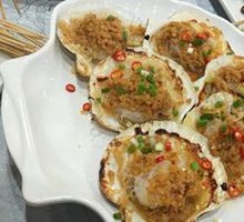 Scallop