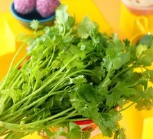Cilantro