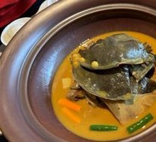 Stewed Softshell Turtle