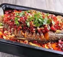 Clear Spring Fish