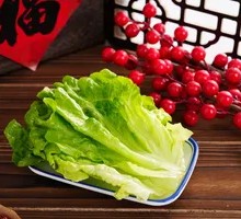 TB Lettuce
