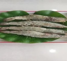 Large Green Shrimp