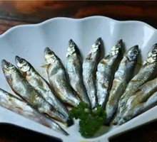 Mullet Fish