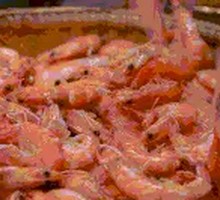 Arctic Sweet Shrimp
