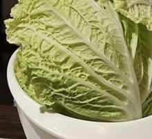 Golden Napa Cabbage