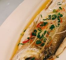 White Fish