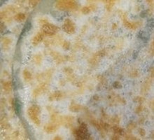 Leek Pancake