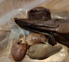 Forever Duck Heads