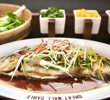 Rainbow Trout