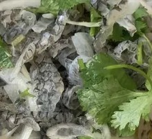 Fish Skin