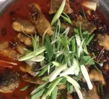 Craving Fish