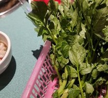 Watercress