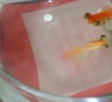 Miso Soup