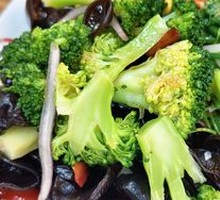 Premium Cold Dishes