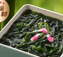 Xiapu Kelp Sprout