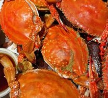Spider Crab