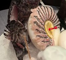 Deep-Sea Grouper