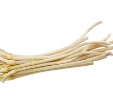 Lotus Stem