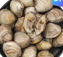 Clam
