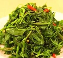 Seasonal Wild Greens