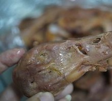 Duck Head